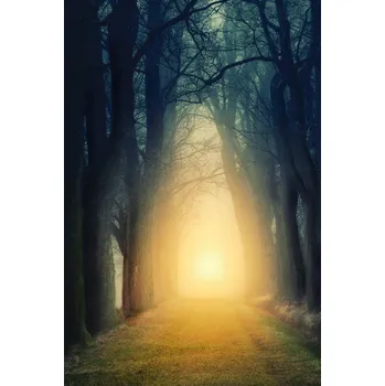 Topidlo Topný infrapanel s obrazem - 18 Rámy: Přírodní dřevo, Výkon a rozměr: 360 W – 89 cm × 54 cm (15 m³)