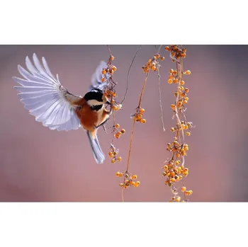 Přímotop Topný infrapanel s obrazem - 135 Rámy: Hnědý, Výkon a rozměr: 360 W – 89 cm × 54 cm (15 m³)