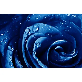 Infrazářič Topný infrapanel s obrazem - 96 Rámy: Černý, Výkon a rozměr: 500 W – 104 cm × 54 cm (20 m³)