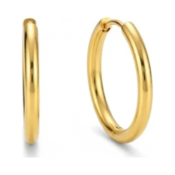 Náušnice Náušnice z chirurgické oceli kruhy pozlacené DAR199 - dárek nad 1000 Kč