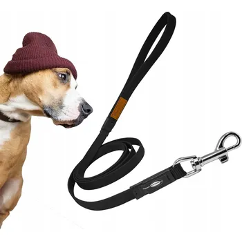 Vodítko pro psa Tradiční Vodítko Dogcessories , 2 m