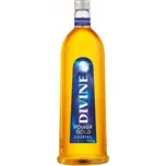 Boris Jelzin Divine Power Gold 15 % 1 l