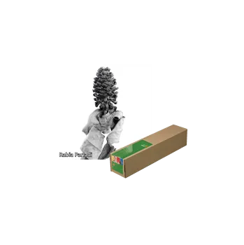 Fotopapír Tecco Production PMC180 Premium Matt Coated role 29,7 cm x 35 m (3") 180 g/m2 (11,7") - 6762297036