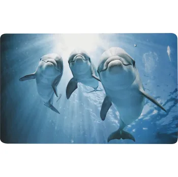 Koupelnová předložka LIVARNO® Koupelnová předložka, 50 x 80 cm (delfín)