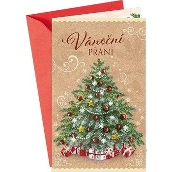 ARGUS Vánoční přání s kapsou na peníze 11-6493c