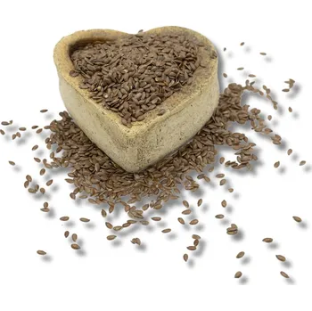 Sušená potravina FITBOY Lněné semínko hnědé 5000g 5000g