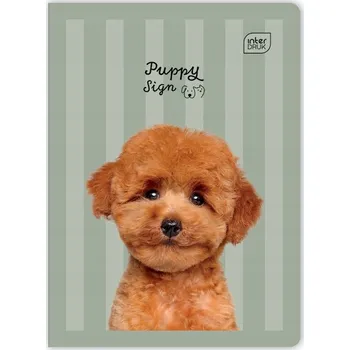 Sešit Sešit A5 s linkami (trojlinkový) Interdruk, 32 listů