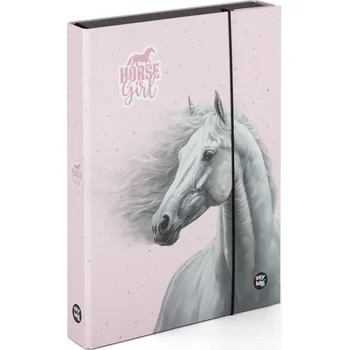 desky na sešit Oxybag Box na sešity A4 Jumbo kůň romantic Horse Girl