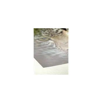 Fotopapír Hahnemühle Bamboo 290 - A3+, 25 ks - 10641609