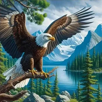 Diamantové malování Diamantové malování - Orel u jezera (60 x 60)