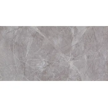 Obklad ARTÉ Obklad Arté Marlena grey lesk 31x61 99022959