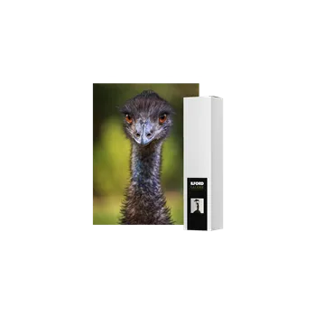 Fotopapír ILFORD GALERIE Textured Cotton Sprite 280 (GTCSJ), role 111,8 cm x 15 m (44") - GA6077111016