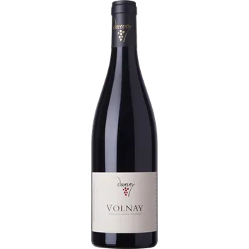 Víno Domaine Jean Yves Devevey Volnay Rouge BIO 2021