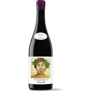 Červené víno Panorámico Wines Garnacha Caracuesta 2019, Panoramatico, Rioja