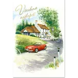 Ditipo Blahopřání K - Všechno nejlepší (pánské) 6890629