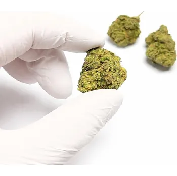 Semeno Phantom OG THC X Květy -: 1g