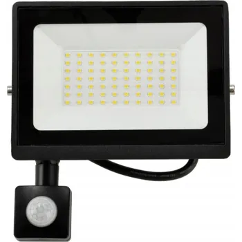 LED reflektor 30W IP66, studená bílá