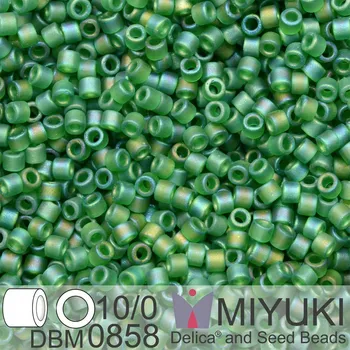Korálek Korálky Miyuki Delica 10/0. Barva Matte Transparent Green AB DBM0858. Balení 5g.