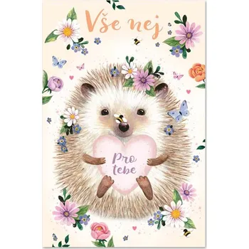 Ditipo Blahopřání GK - Vše nej / Pro tebe (ježek) 6890622