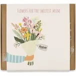 Blossombs Semínkové bomby - Dárková sada střední "Pro nejlepší maminku"- Kytice (9 ks)