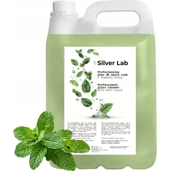 ČISTICÍ PROSTŘEDEK NA OKNA A ZRCADLA PROTI ŠMOUHÁM BEZ ŠMOUH BEZ ZASCHLÝCH KAPEK MÁTOVÝ 5L