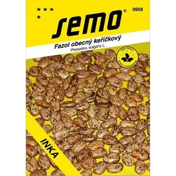 Semeno Fazol keř. na suchá semena - Taylor´s Horticultural 30g