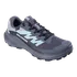 Dámská běžecká obuv Salomon Alphaglide GTX W L47802500, 42