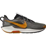 NIKE Reactx Pegasus Trail 5 DV3864-009