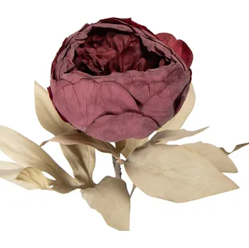 umělá květina Clayre & Eef - Umělá květina 5PL0266R