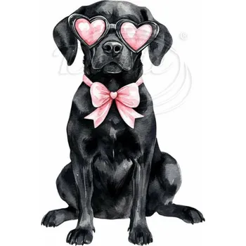 Textilní nažehlovací páska Dante Nažehlovačka Labrador brýle srdce - 4 x 6 cm