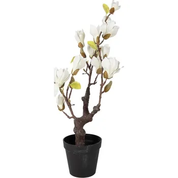 Dekorační stromek Magnolia s bílými květy - 16*14*60 cm
