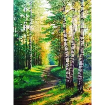 Diamantové malování Diamantové malování - Cesta mezi břízkami (60x80)
