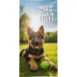 Detexpol Osuška Ovčák Bavlna - Froté, 70/140 cm