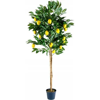 Obraz Umelý citronovník s plody, 184 cm