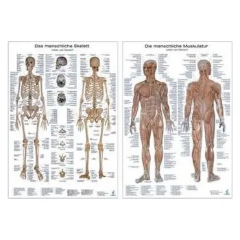 Diář Muskelsystem, Lerntafel. Skelettsystem, Lerntafel, 2 Tafeln