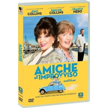 DVD film amiche all'improvviso
