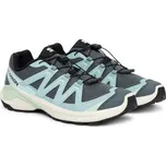 Trekingová obuv Salomon Examotion W L47962300 Zelená 40_23