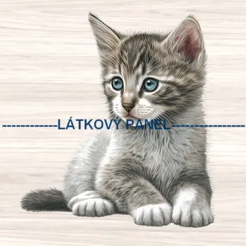 Panel kočárkovina 20 x 20 cm - Kočka - KČ-283
