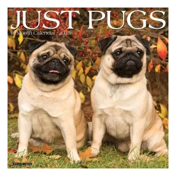 Kalendář Pugs 2026 12 X 12 Wall Calendar (EN)