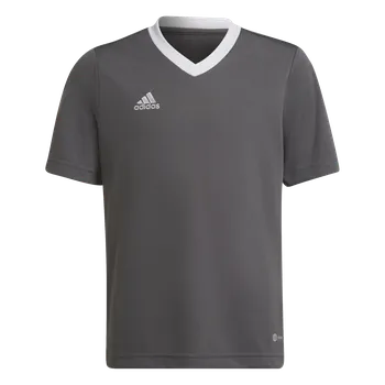 Adidas Teamsport Entrada 22 šedá/bílá UK Junior L