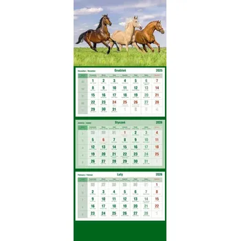 Kalendář Třídílný nástěnný kalendář 2025 Michalczyk i Prokop T-105T - koně