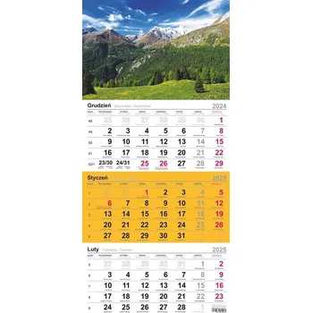 Kalendář Třídílný nástěnný kalendář 2021 kvetoucí stromy