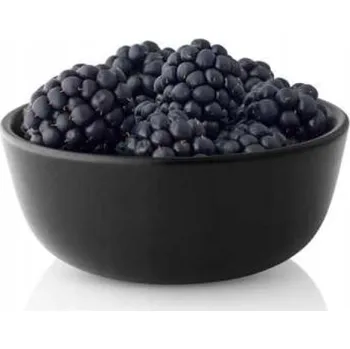 Miska Eva Solo z kameniny 150 ml