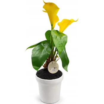 umělá květina EXCELLENT FLOWERS umělé květy v květináči, žluté lilie