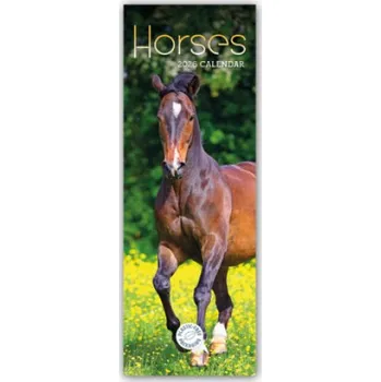 Kalendář Horses - Pferde 2026 - Slimline-Kalender – Carousel Calendar (EN)