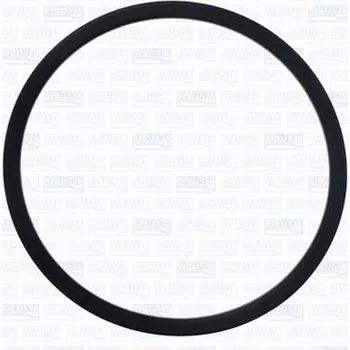 Palivové čerpadlo Těsnění, palivové čerpadlo AJUSA 01383900