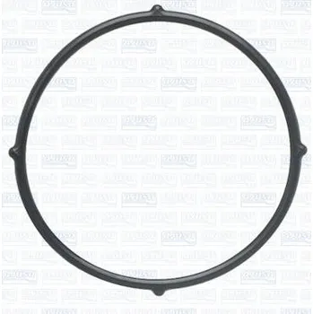 Chladič motoru Těsnění, potrubí chladiva AJUSA 01373300