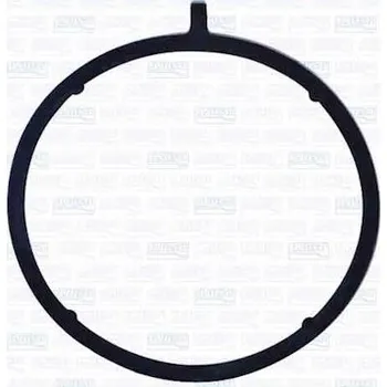 Váha vzduchu Těsnění, vedení AGR ventilu AJUSA 01300600