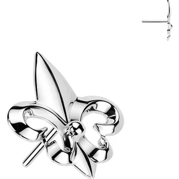 Piercing Šperky4U Ozdobná část k PUSH IN piercingu TITAN - TIT1674
