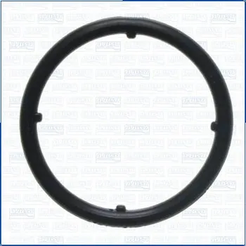 Olejové čerpadlo Těsnicí kroužek, sací trubka (olejové čerpadlo) AJUSA 01508700